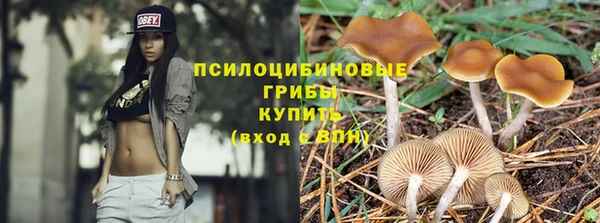 МДПВ Краснотурьинск